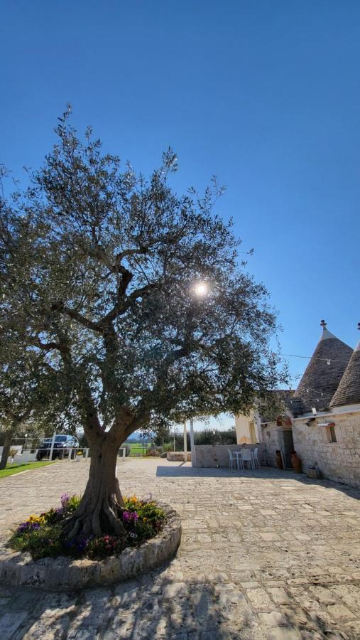 Casa Relax Isabelle Bed & Breakfast Alberobello Ngoại thất bức ảnh